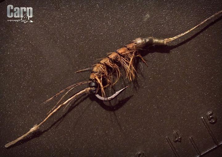 OMG - img4103625001295.jpeg